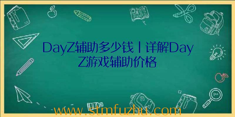 DayZ辅助多少钱|详解DayZ游戏辅助价格